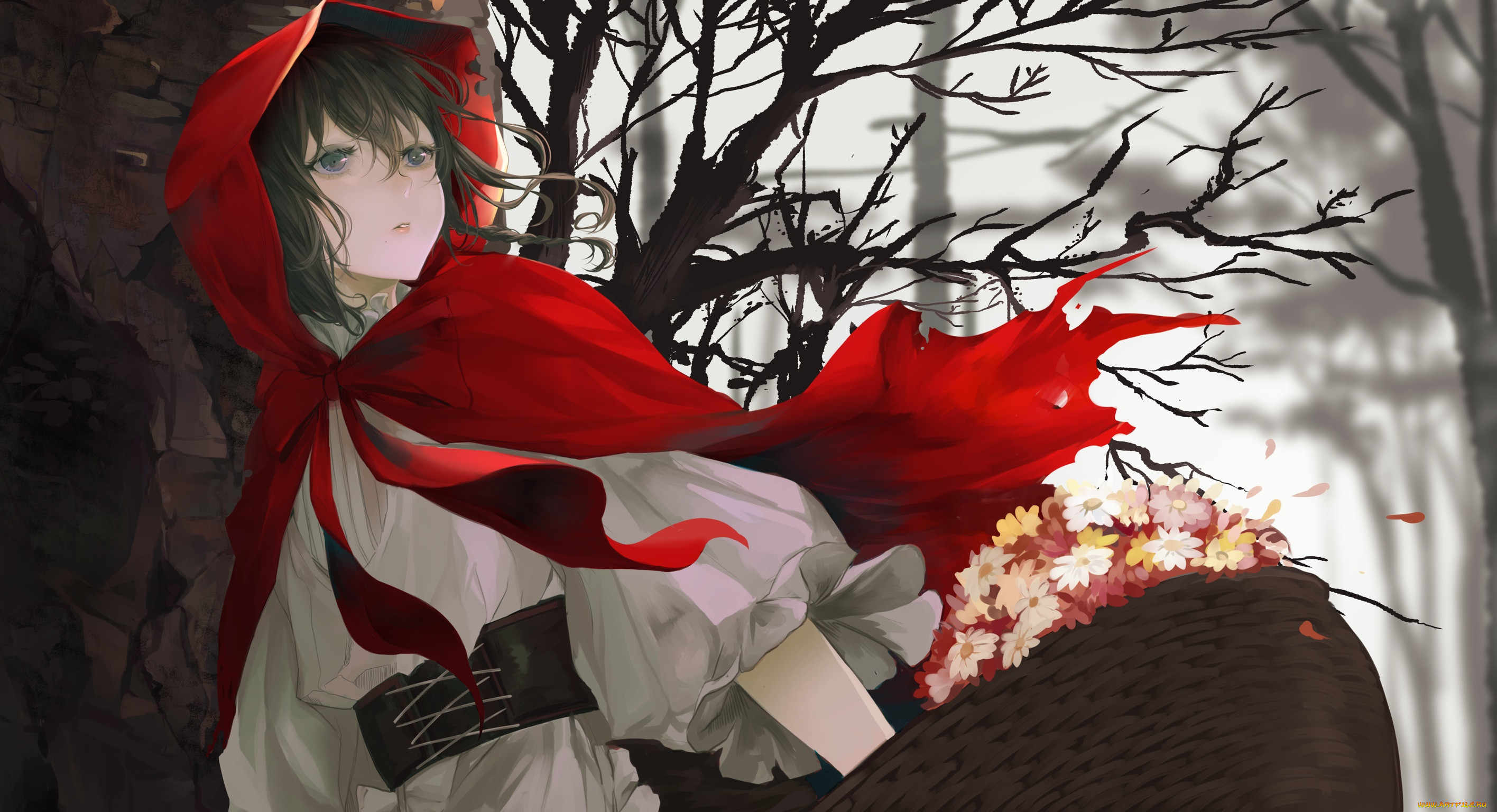 , unknown,   , 